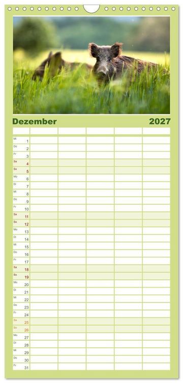 Produktbild: Familienplaner 2027 - Die Tiere des Waldes mit 5 Spalten (Wandkalender, 21 x 45 cm) CALVENDO