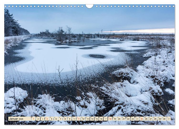 Produktbild: Niedersachsens Natur (Wandkalender 2026 DIN A3 quer), CALVENDO Monatskalender