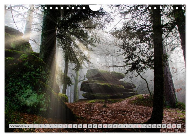Produktbild: Splendeurs des Vosges (Calendrier mural 2026 DIN A4 vertical), CALVENDO calendrier mensuel