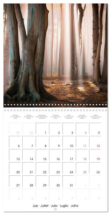 Produktbild: This is Germany (Wall Calendar 2026 12 &times; 12 Inch) CALVENDO 12 Month Wall Calendar