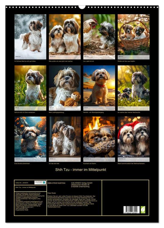 Produktbild: Shih Tzu - immer im Mittelpunkt (Wandkalender 2026 DIN A2 hoch), CALVENDO Monatskalender