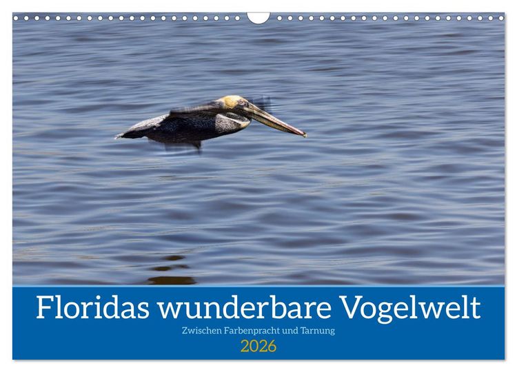 Produktbild: Floridas wunderbare Vogelwelt (Wandkalender 2026 DIN A3 quer), CALVENDO Monatskalender