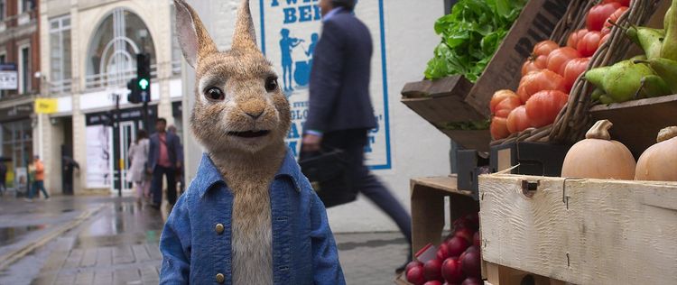 Produktbild: Peter Hase 2 - Ein Hase macht sich vom Acker
