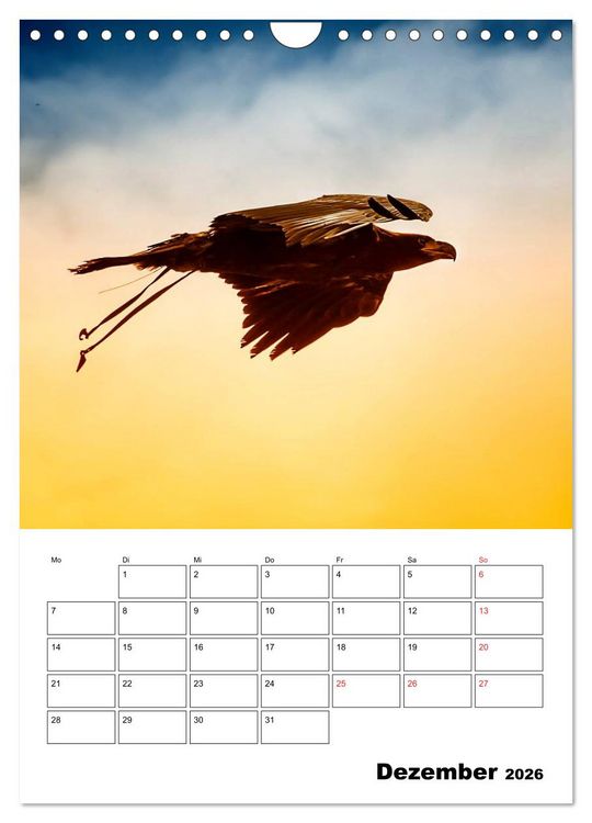 Produktbild: Raub- und Greifv&ouml;gel im Flug (Wandkalender 2026 DIN A4 hoch), CALVENDO Monatskalender