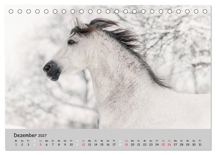 Produktbild: Pferde - Anmut und St&auml;rke gepaart mit Magie (Tischkalender 2027 DIN A5 quer), CALVENDO Monatskalender