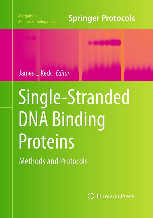 Produktbild: Single-Stranded DNA Binding Proteins