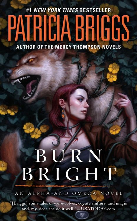Produktbild: Burn Bright