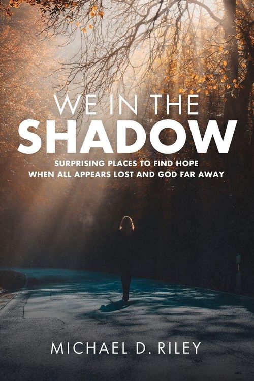 Produktbild: We in the Shadow