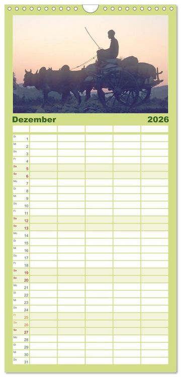Produktbild: Familienplaner 2026 - Myanmar Land der Tempel und Pagoden mit 5 Spalten (Wandkalender, 21 x 45 cm) CALVENDO