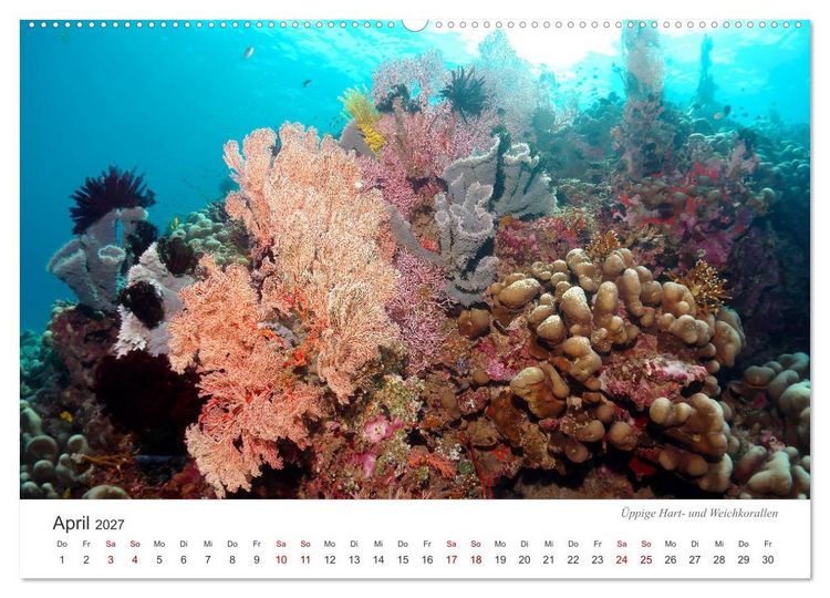 Produktbild: Unterwasser - eine bunte Welt (hochwertiger Premium Wandkalender 2027 DIN A2 quer), Kunstdruck in Hochglanz
