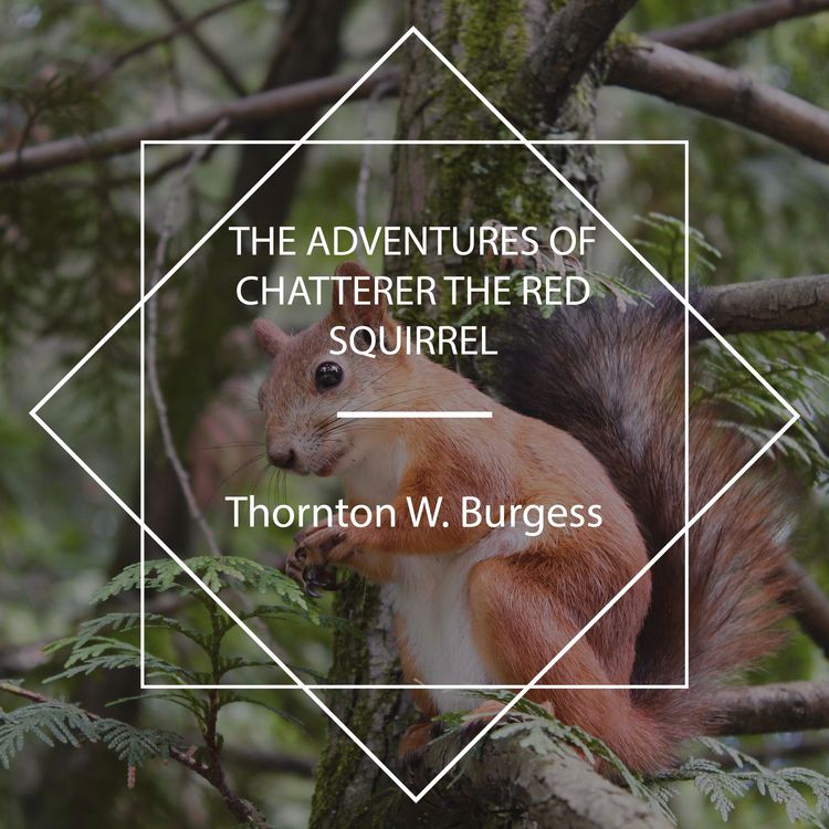 Produktbild: The Adventures of Chatterer the Red Squirrel