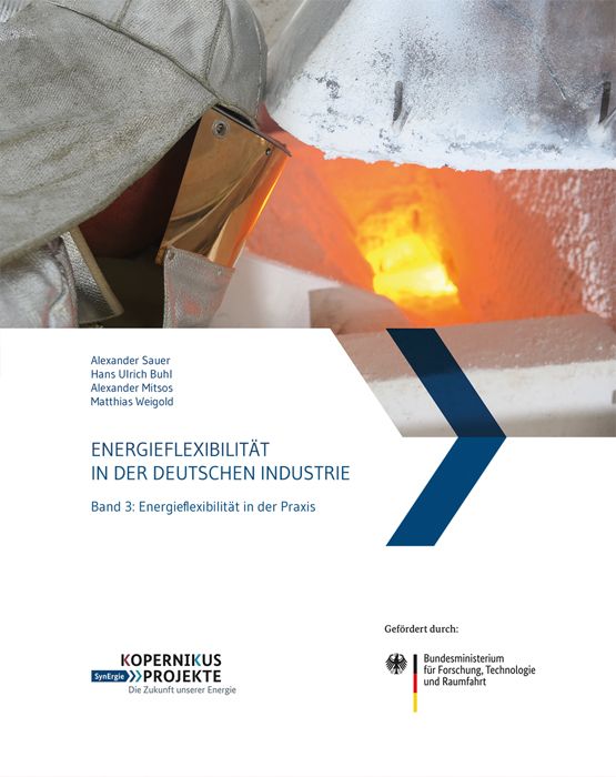 Produktbild: Energieflexibilit&auml;t in der deutschen Industrie