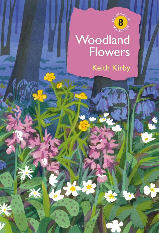 Produktbild: Woodland Flowers