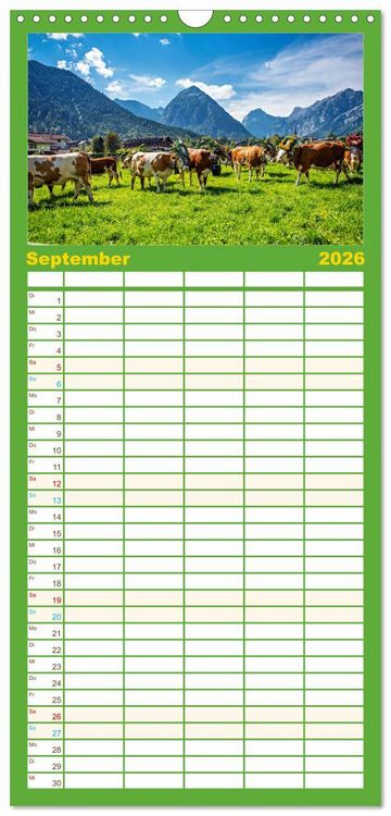 Produktbild: Familienplaner 2026 - Und ewig lockt der Achensee - Tirol mit 5 Spalten (Wandkalender, 21 x 45 cm) CALVENDO