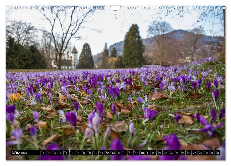 Produktbild: Rund um den Thunersee (Wandkalender 2026 DIN A3 quer), CALVENDO Monatskalender