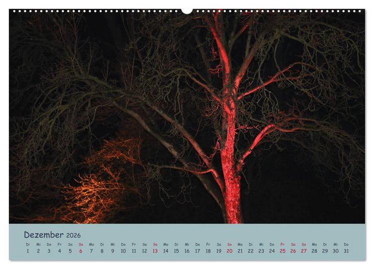 Produktbild: Leuchtfarben (Wandkalender 2026 DIN A2 quer), CALVENDO Monatskalender
