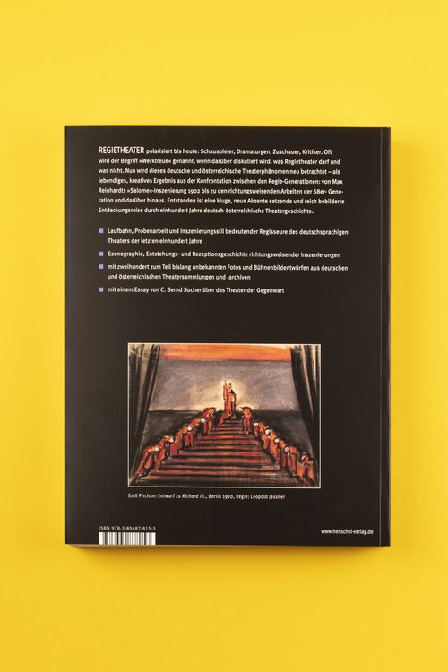 Produktbild: Regietheater. Eine deutsch-&ouml;sterreichische Geschichte
