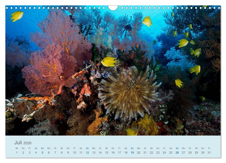 Produktbild: Abenteuer Unterwasser (Wandkalender 2026 DIN A3 quer), CALVENDO Monatskalender