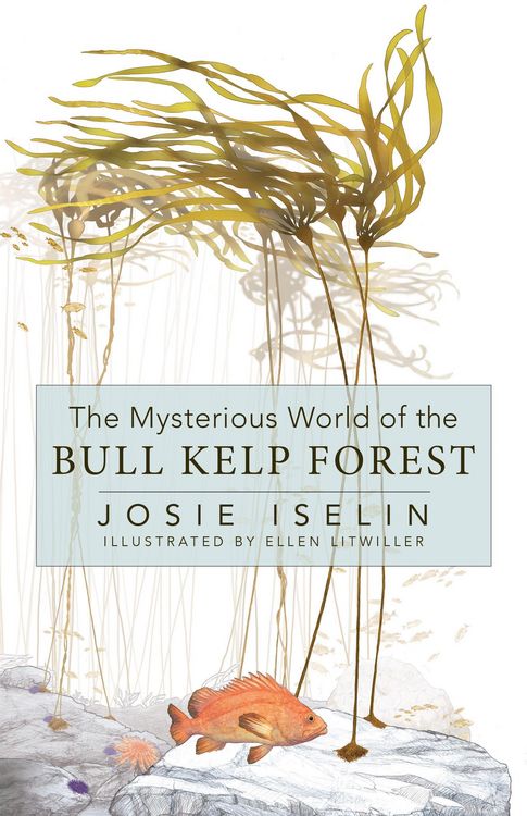 Produktbild: The Mysterious World of the Bull Kelp Forest