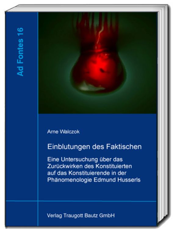 Produktbild: Einblutungen des Faktischen