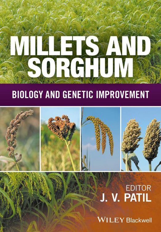 Produktbild: Millets and Sorghum