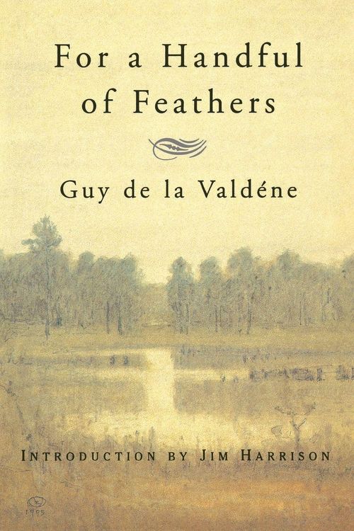 Produktbild: For a Handful of Feathers