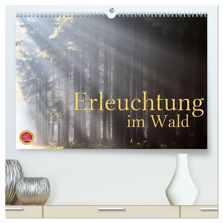 Produktbild: Erleuchtung im Wald (hochwertiger Premium Wandkalender 2026 DIN A2 quer), Kunstdruck in Hochglanz