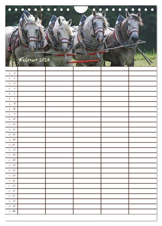 Produktbild: Der Kaltblut-Familienplaner (Wandkalender 2026 DIN A4 hoch), CALVENDO Monatskalender