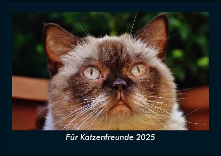 Produktbild: F&uuml;r Katzenfreunde 2025 Fotokalender DIN A5