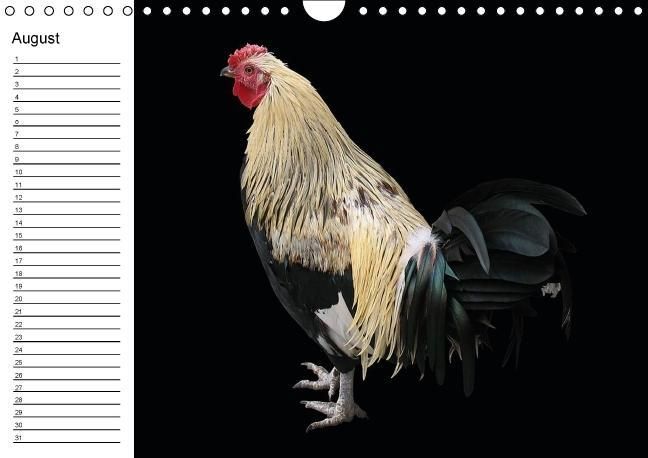 Produktbild: H&uuml;hner / Geburtstagskalender (Wandkalender immerw&auml;hrend DIN A4 quer)