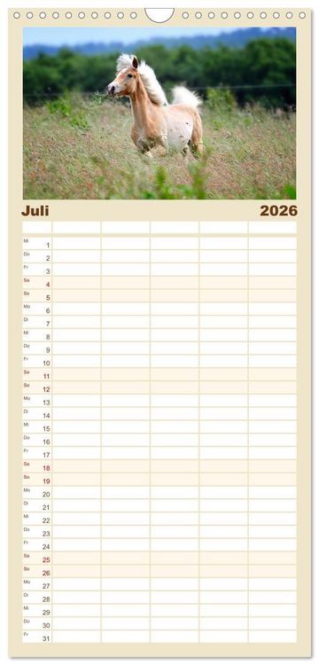 Produktbild: Familienplaner 2026 - Haflinger mit 5 Spalten (Wandkalender, 21 x 45 cm) CALVENDO