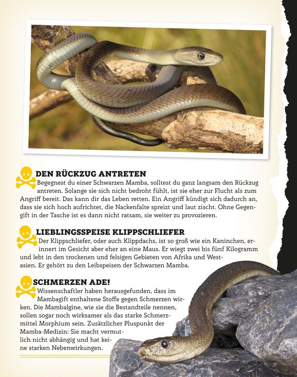 Produktbild: Bissig, giftig, t&ouml;dlich!