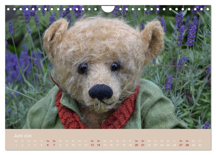Produktbild: Robin der B&auml;r (Wandkalender 2026 DIN A4 quer), CALVENDO Monatskalender