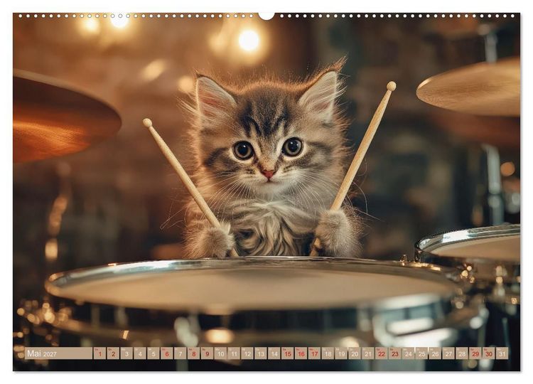 Produktbild: Miau-sikalische Momente (hochwertiger Premium Wandkalender 2027 DIN A2 quer), Kunstdruck in Hochglanz