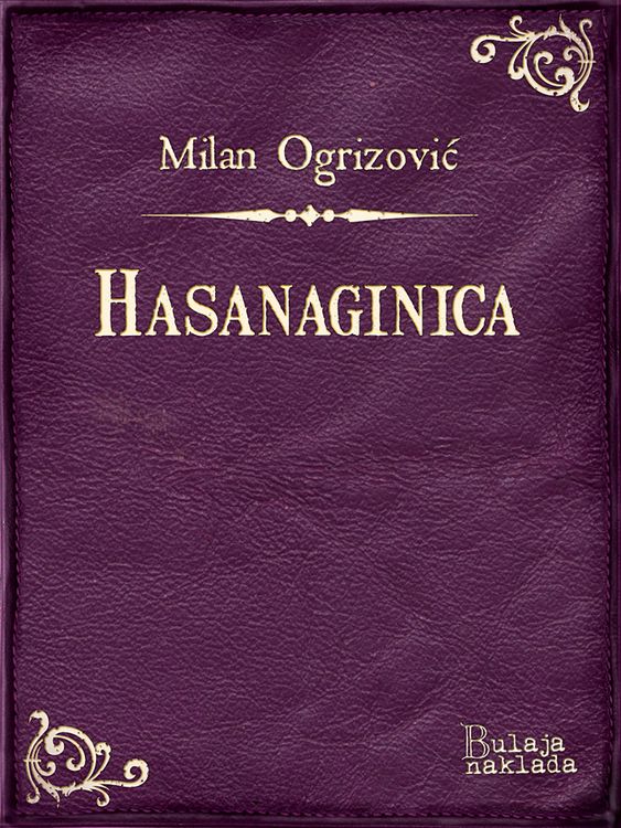 Produktbild: Hasanaginica