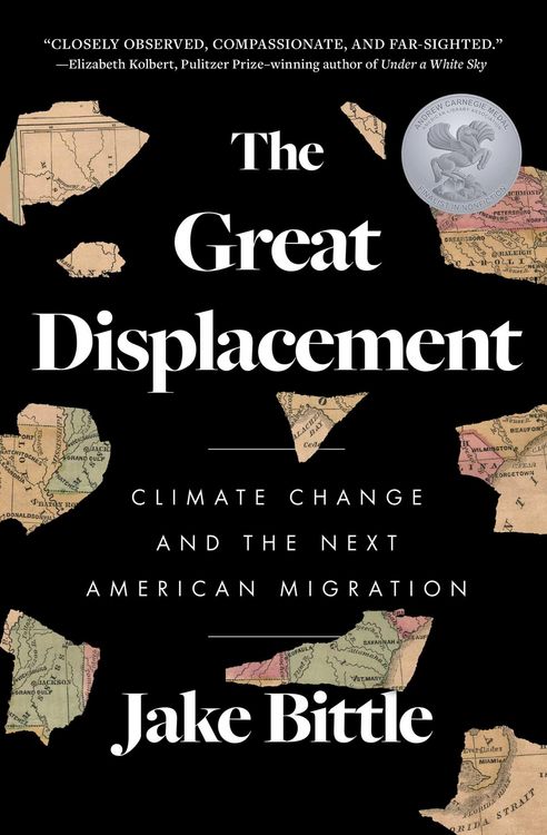 Produktbild: The Great Displacement