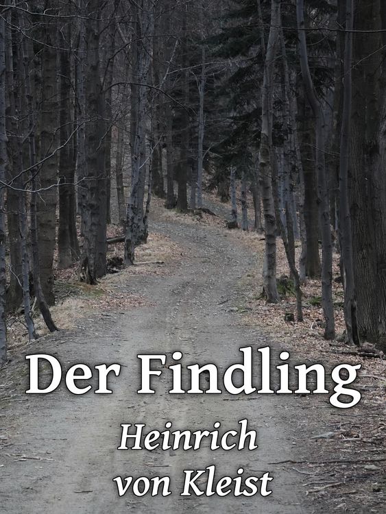 Produktbild: Der Findling
