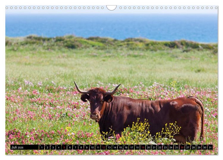 Produktbild: Farbenpr&auml;chtiges Andalusien (Wandkalender 2026 DIN A3 quer), CALVENDO Monatskalender