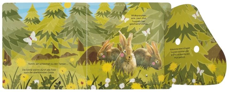 Produktbild: Wo verstecken sich die Tiere im Wald?
