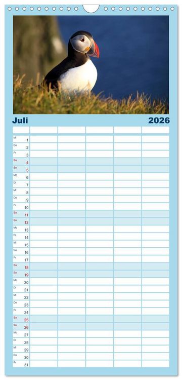 Produktbild: Familienplaner 2026 - Island - Iceland mit 5 Spalten (Wandkalender, 21 x 45 cm) CALVENDO