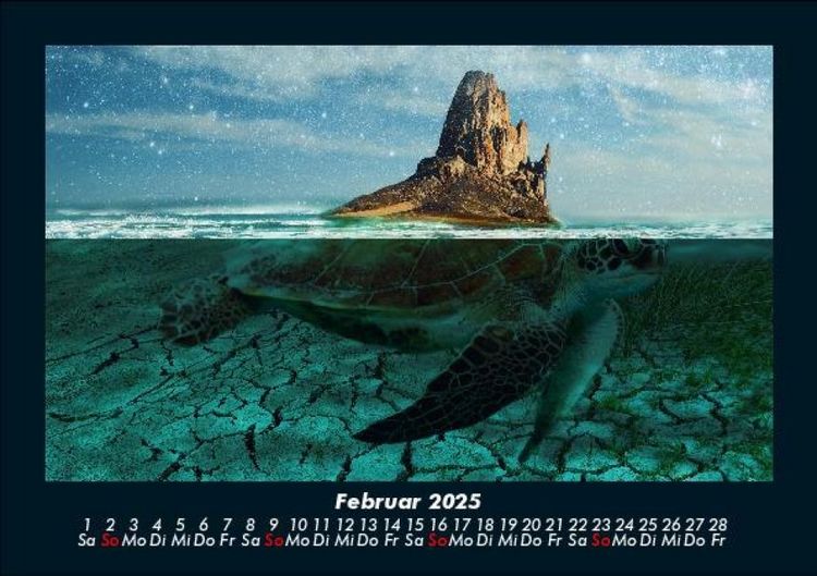 Produktbild: Schildkr&ouml;tenzauber 2025 Fotokalender DIN A5