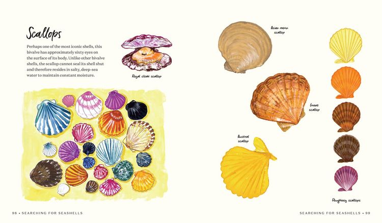 Produktbild: Searching for Seashells