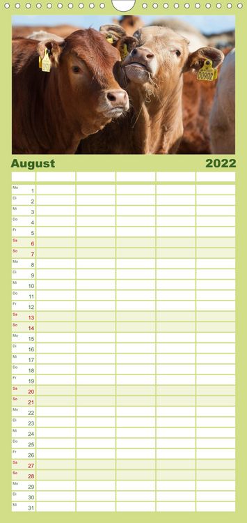 Produktbild: Ein Herz f&uuml;r Rinder - Familienplaner hoch (Wandkalender 2022 , 21 cm x 45 cm, hoch)