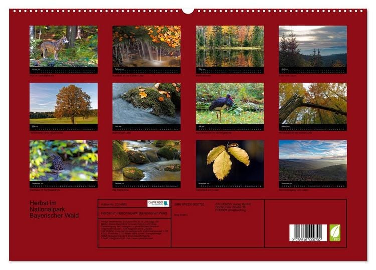 Produktbild: Herbst im Nationalpark Bayerischer Wald (hochwertiger Premium Wandkalender 2026 DIN A2 quer), Kunstdruck in Hochglanz