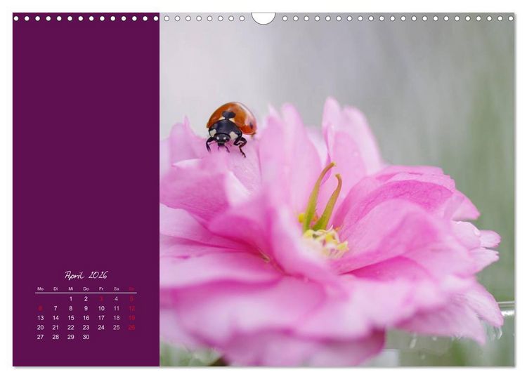 Produktbild: Momente des Gl&uuml;cks (Wandkalender 2026 DIN A3 quer), CALVENDO Monatskalender