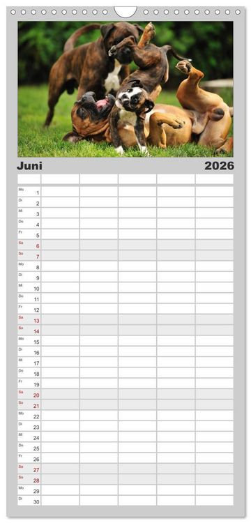 Produktbild: Familienplaner 2026 - Gut - besser - Boxer mit 5 Spalten (Wandkalender, 21 x 45 cm) CALVENDO