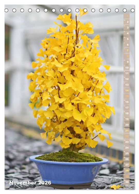 Produktbild: Bonsai: Gartenkunst im Kleinen (Tischkalender 2026 DIN A5 hoch), CALVENDO Monatskalender