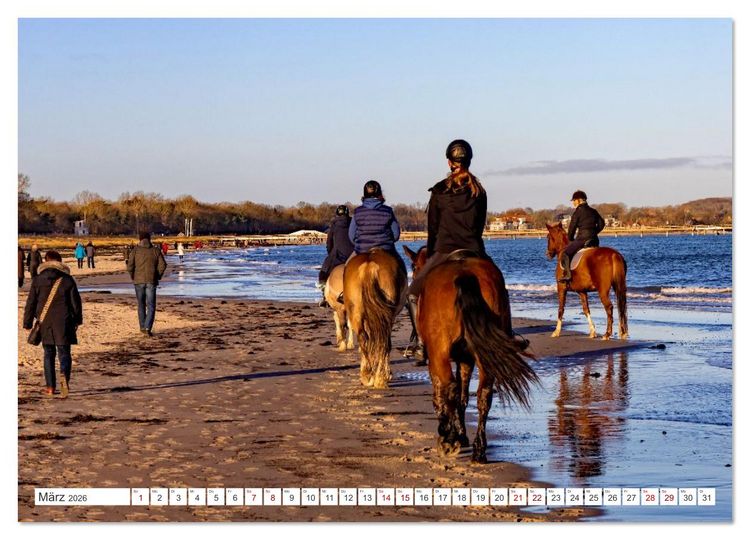 Produktbild: Sch&ouml;nes Mecklenburg-Vorpommern - Landschaften am Meer (hochwertiger Premium Wandkalender 2026 DIN A2 quer), Kunstdruck in Hochglanz