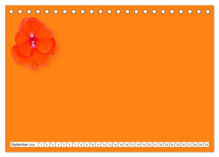 Produktbild: DIY POESIE - BASTELKALENDER (Tischkalender 2026 DIN A5 quer), CALVENDO Monatskalender