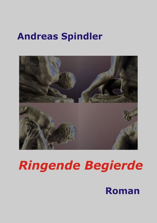 Produktbild: Ringende Begierde
